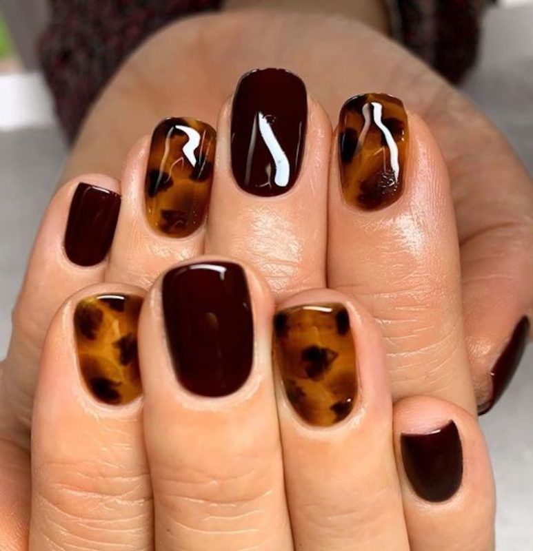 Burgundy and tortoise short square nails, deep red gel alternating with tortoiseshell